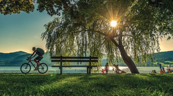 man riding a bicycle at sunset at the lake